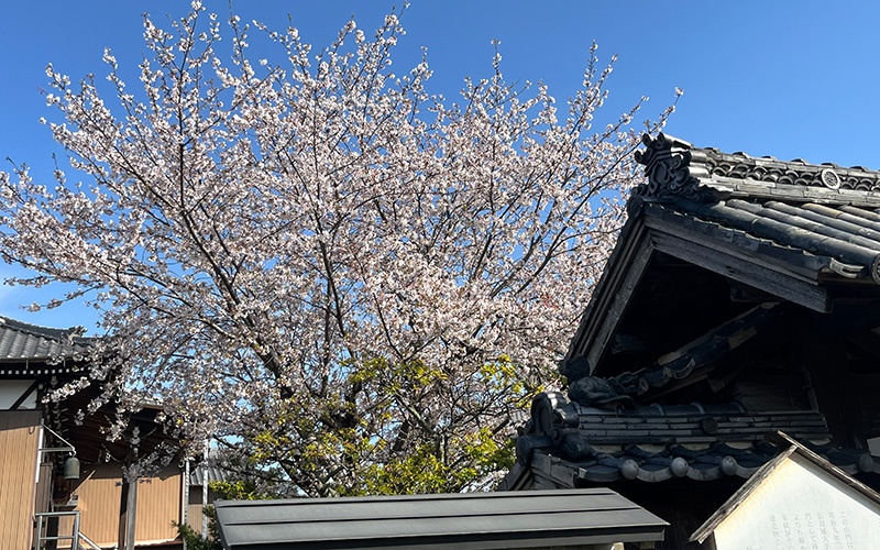 ご利用者さまによりそった開かれたお寺