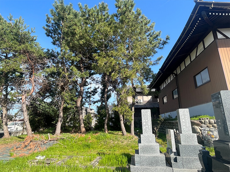 墓じまいから永代供養墓に移動もお任せください！